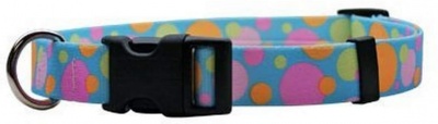 Yellow Dog Design Coloured Circles Adjustable Collar XS (20-30cm) RRP 7.99 CLEARANCE XL 3.99